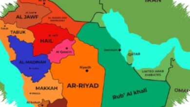 DP World Siapkan Jalur Aman di Fujairah, Hormuz Tak Lagi Jadi Satu-satunya Pilihan