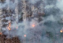 Lereng Gunung Gombak Ponorogo Terbakar 8 Jam, Api Sempat Dekati Permukiman