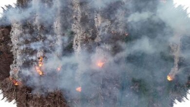 Lereng Gunung Gombak Ponorogo Terbakar 8 Jam, Api Sempat Dekati Permukiman