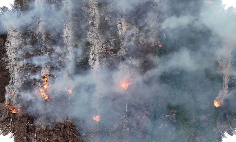 Lereng Gunung Gombak Ponorogo Terbakar 8 Jam, Api Sempat Dekati Permukiman