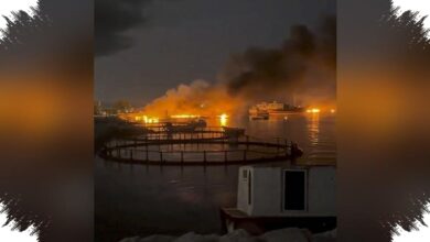 Trump Bandingkan Konflik Iran Dengan Vietnam, Serangan AS Disebut Bikin Kekuatan Teheran Rontok