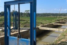 Rp 985,19 Miliar Mengalir ke Irigasi Banten, Rebutan Air yang Lama Mulai Dijinakkan