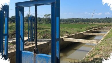 Rp 985,19 Miliar Mengalir ke Irigasi Banten, Rebutan Air yang Lama Mulai Dijinakkan