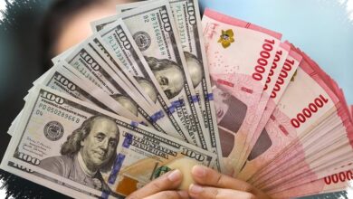 Dana DHE Mengalir Kuat ke Bank, Rekening Dolar Naik 58,2% dalam Setahun