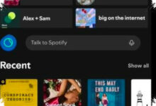 Spotify Uji Talk to Spotify, Pencarian Lagu Kini Bisa Lewat Percakapan