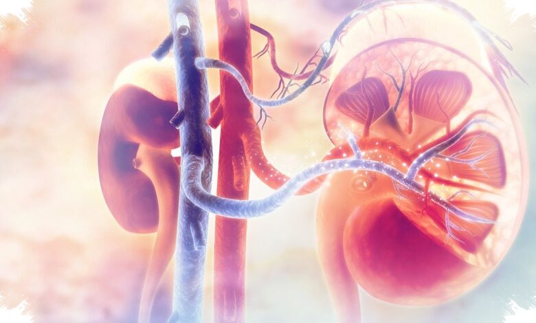 7 Kebiasaan yang Diam-diam Bisa Merusak Ginjal, Obat Bebas Bukan Satu-satunya Pemicu