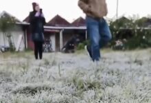 Embun Upas di Dieng Ternyata Dipicu Banyak Faktor, Bukan Hanya Udara Dingin