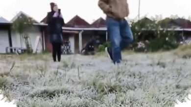 Embun Upas di Dieng Ternyata Dipicu Banyak Faktor, Bukan Hanya Udara Dingin