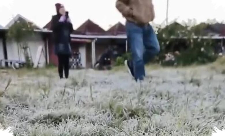Embun Upas di Dieng Ternyata Dipicu Banyak Faktor, Bukan Hanya Udara Dingin