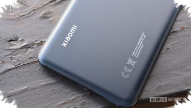 10 Perangkat Xiaomi Masuk Daftar EOL, Pemilik Xiaomi 12 Perlu Lebih Waspada