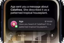 Siri AI Jadi Andalan iOS 27, Apple Buka Beta Publik dengan Dukungan iPhone Lama