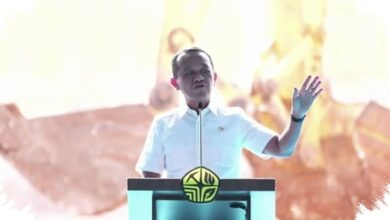 Masela Baru Bergerak Setelah 28 Tahun, Perdebatan Kilang Jadi Biang Macetnya