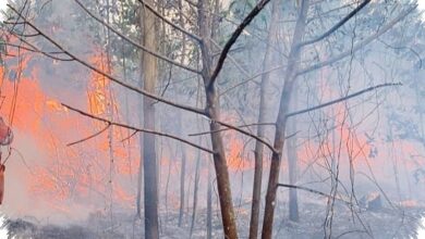 Ribuan Hotspot Meluas di Kalsel, Bandara Syamsudin Noor Masuk Fokus Utama Penanganan
