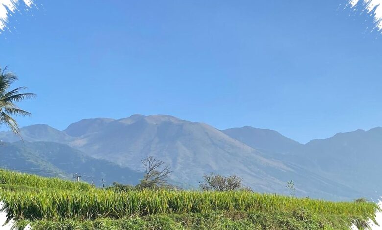 Api Gunung Guntur Berhenti di 0,49 Hektare, Pohon Hutan Tak Tersentuh
