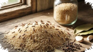 7 Rempah Dapur yang Membuat Kutu Beras Enggan Bersarang di Tempat Penyimpanan