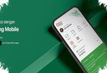Modal Bank Jambi dan Bank Kalteng Tembus 43%, Fitch Naikkan Peringkat