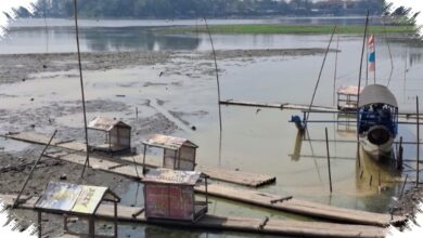 Situ Gede Tinggal Tergenang 20 Hektare, Sawah dan Wisata Air Kehilangan Pasokan