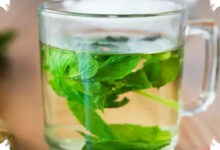 8 Daun Herbal untuk Rebusan, Pelengkap Saat LDL Tinggi Perlu Dikendalikan