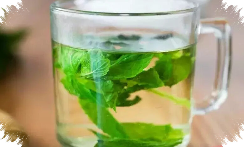 8 Daun Herbal untuk Rebusan, Pelengkap Saat LDL Tinggi Perlu Dikendalikan