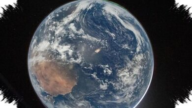 Tumbuhan Bumi Bisa Mati 1,35 Miliar Tahun Lagi, Jauh Sebelum Matahari Jadi Raksasa Merah