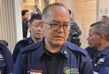 Warung Desa Berpeluang Raih Margin Lebih Tebal, Kopdes Pangkas Jalur Barang