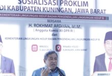 Pasar Karbon Indonesia Mulai Dibuka, DPR Ingatkan Warga Hutan Jangan Tersisih