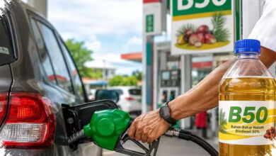 B50 Diproyeksikan Hentikan Impor Solar, Sawit Petani Masuk Andalan Energi Nasional