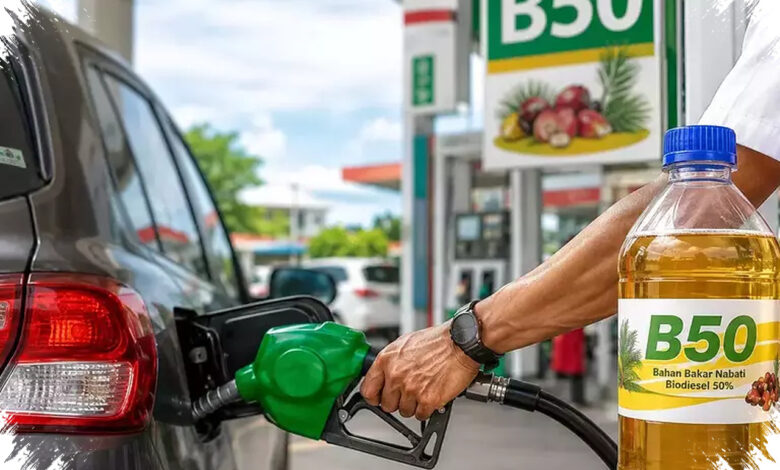 B50 Diproyeksikan Hentikan Impor Solar, Sawit Petani Masuk Andalan Energi Nasional