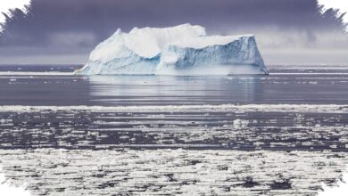 Laut Bercahaya Hampir Seluas Islandia Tertangkap Satelit, Penyebabnya Belum Jelas