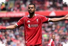 Liverpool Menutup Pintu untuk Tottenham, Cody Gakpo Tetap Jadi Andalan