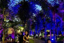 Empat Hari di Hutan Kota GBK, Yoga hingga Konser Menyatu dalam Taman Wellness