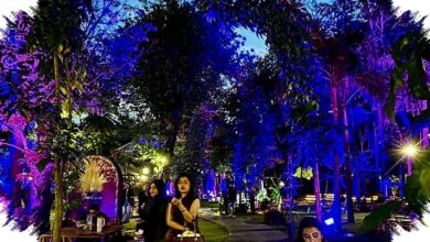 Empat Hari di Hutan Kota GBK, Yoga hingga Konser Menyatu dalam Taman Wellness