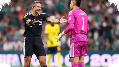 Slavko Vincic Pimpin Final Spanyol vs Argentina, Laga Keenamnya di Piala Dunia