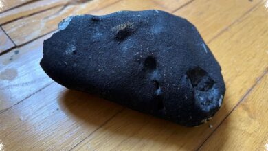 Pecahan Meteorit yang Tembus Kamar di New Jersey Simpan Jejak Kimia Kehidupan