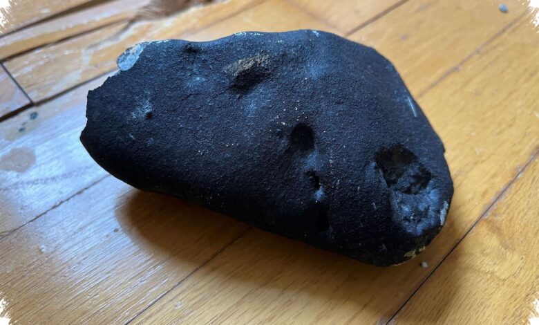 Pecahan Meteorit yang Tembus Kamar di New Jersey Simpan Jejak Kimia Kehidupan
