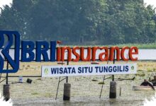 Modal BRINS Masih Sangat Tebal, Laba 2025 Melonjak ke Rp674,75 Miliar