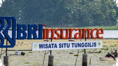 Modal BRINS Masih Sangat Tebal, Laba 2025 Melonjak ke Rp674,75 Miliar
