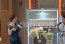 Acerpure Menanam Komitmen Jangka Panjang di Indonesia, Memburu Konsumen Muda