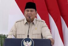 Prabowo Bidik Tambang hingga Permainan Dagang Ilegal dalam Penertiban Besar