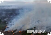 Api Mulai Menjalar Saat Kemarau, 37 Karhutla Sudah Menjangkau 16 Daerah Jateng