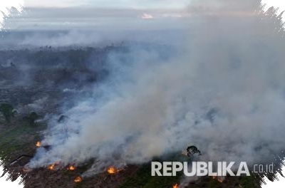 Api Mulai Menjalar Saat Kemarau, 37 Karhutla Sudah Menjangkau 16 Daerah Jateng