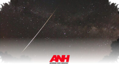 Meteorit yang Menembus Kamar di New Jersey Membawa Asam Amino dari Luar Bumi