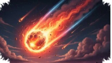 Meteorit yang Menembus Atap Rumah Ini Menyimpan Jejak Air Asin dari Asteroid Purba