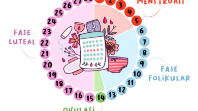 Saat Energi Menanjak dan Menurun, 4 Fase Menstruasi untuk Mengatur Intensitas Latihan