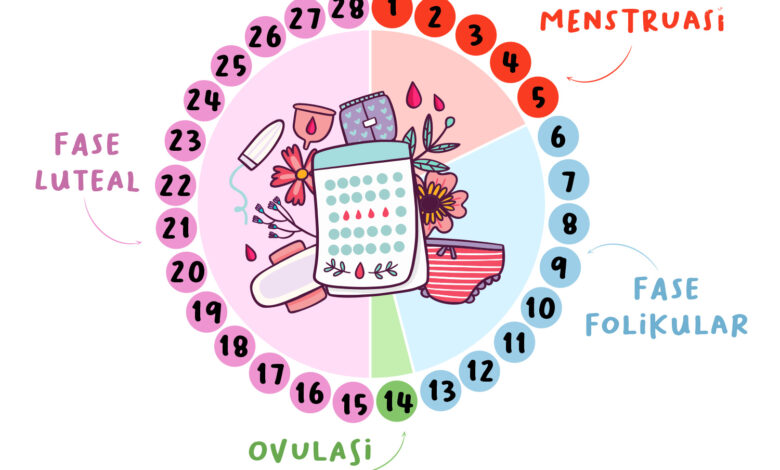 Saat Energi Menanjak dan Menurun, 4 Fase Menstruasi untuk Mengatur Intensitas Latihan