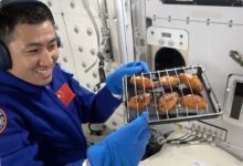 Sinar-X Pertama di Orbit Membuka Jalan Diagnosis Astronaut Tanpa Evakuasi Cepat