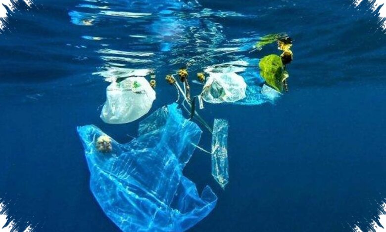 Mikroplastik Ditemukan pada Ikan hingga Garam, Laut Indonesia Hadapi Ancaman Pangan
