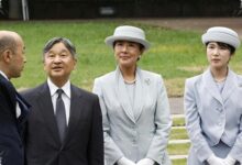 Jepang Pilih Adopsi Kerabat 600 Tahun Jauh Ketimbang Membuka Jalan bagi Aiko