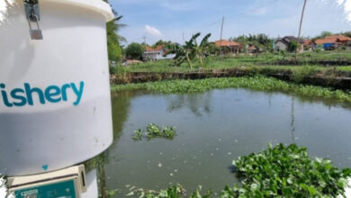 Dana KWAP RM194,35 Juta Tersangkut eFishery, Anwar Ungkap Penipuan Terencana