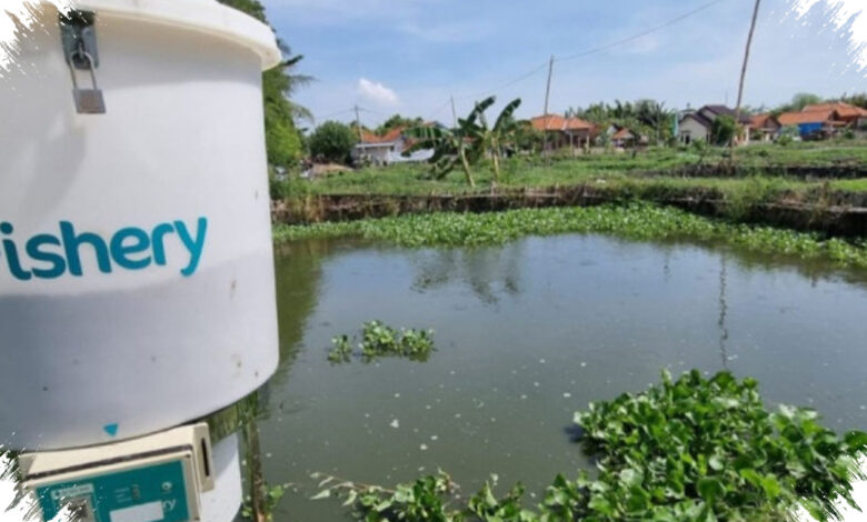 Dana KWAP RM194,35 Juta Tersangkut eFishery, Anwar Ungkap Penipuan Terencana